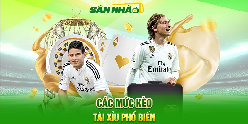 Kèo Tài Xỉu Là Gì? Cách Đọc Kèo Và Chọn Chuẩn Từ Đầu 3 Các Mức Kèo Tài Xỉu Phổ Biến