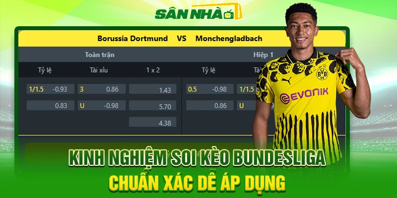 Kinh Nghiệm Soi Kèo Bundesliga Chuẩn Xác Dễ Áp Dụng